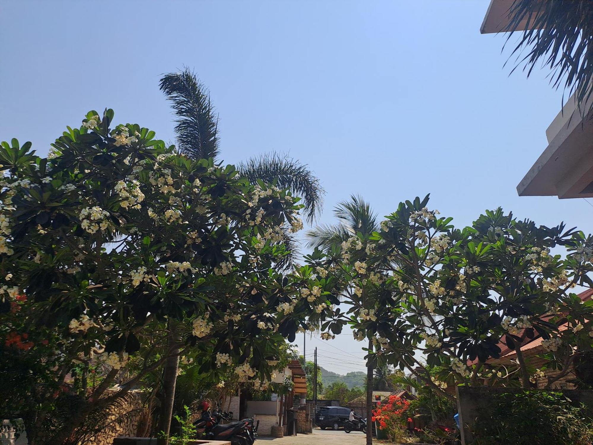 Kutabay Homestay Kuta (Lombok) Exterior foto